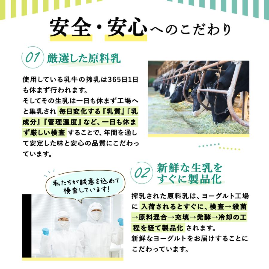 ヨーグルト 岩泉ヨーグルト プレーン 無糖 ( 1kg × 2袋 ) セット ギフト 大容量 お取り寄せ もっちり 岩手 産地直送 | 岩泉産業開発 | 09