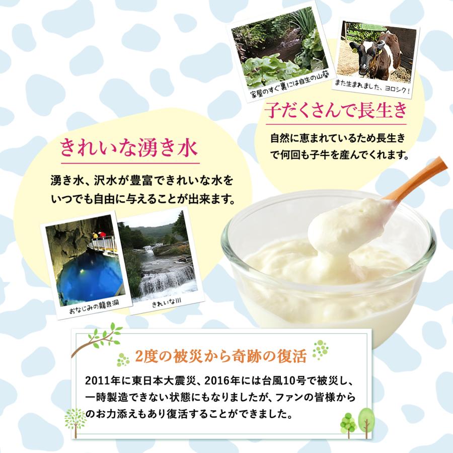 ＼TV放映で話題／岩泉ヨーグルト アソート [加糖・無糖 1kg 各1袋] 計2kg ギフト 大容量 もっちり 岩手 岩泉 産地直送 | 岩泉産業開発 | 12