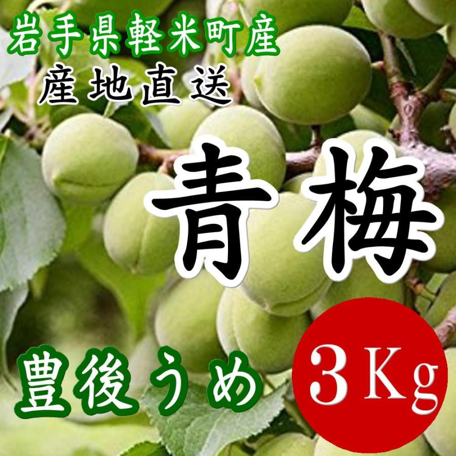 梅 生梅 7月9日以降出荷 生 青梅 3kg 産地直送 岩手県軽米町 豊後梅 梅酒用 カリカリ梅 梅干し 梅漬けなどに 2840 ハイマート 通販 Yahoo ショッピング