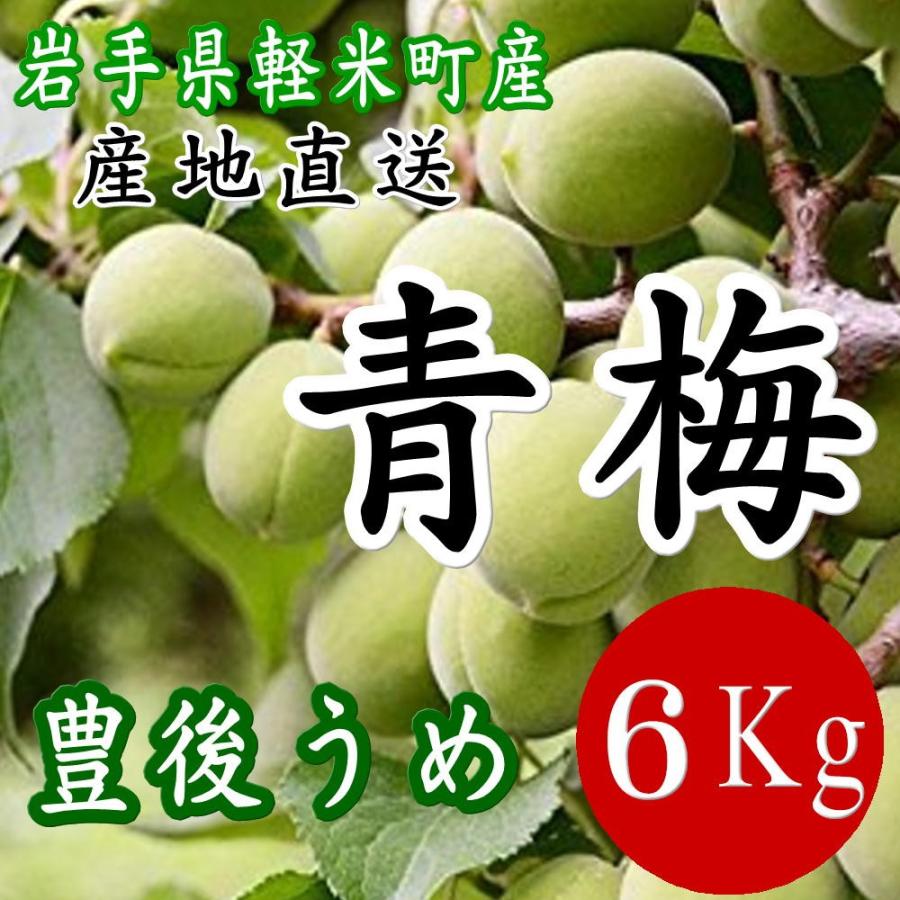 梅 生梅 7月9日以降出荷 生 青梅 6kg 産地直送 岩手県
