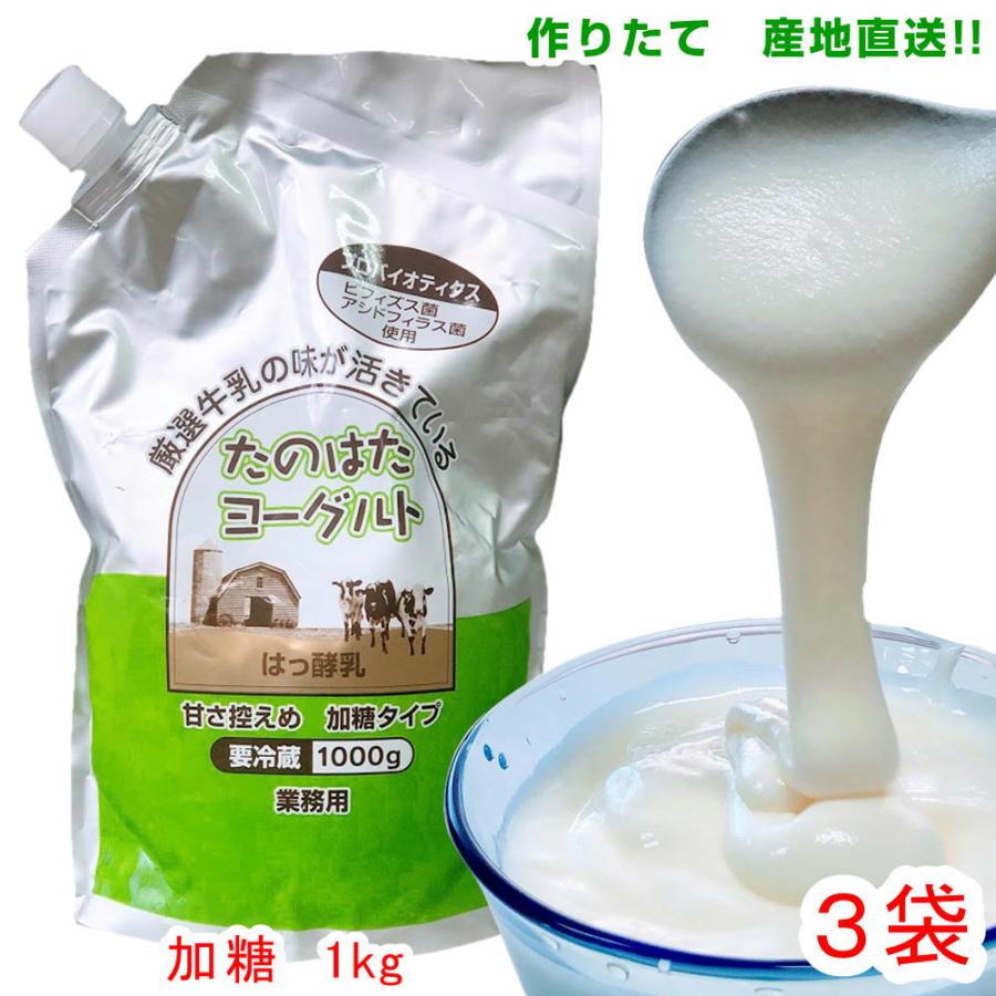 ヨーグルト 健康 岩手 たのはた牛乳・ヨーグルト　加糖 1kg×3袋　田野畑｜yourheimat｜02