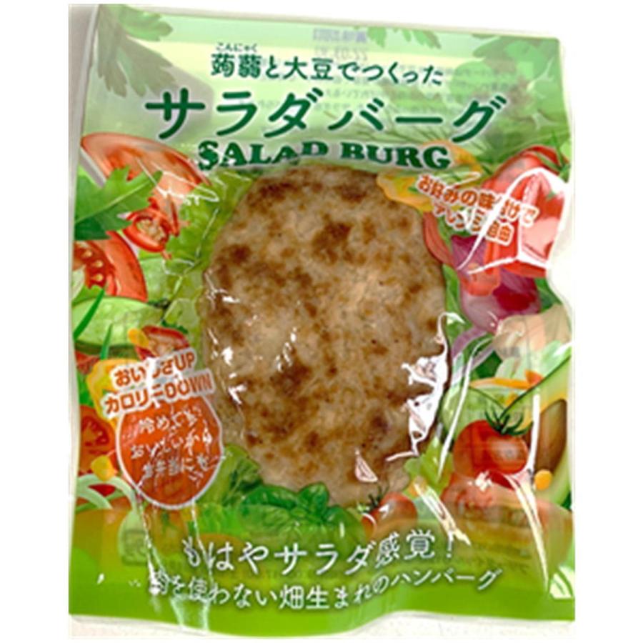 代替肉 蒟蒻と大豆でつくった サラダバーグ 90g×10袋 常温 大豆ミート