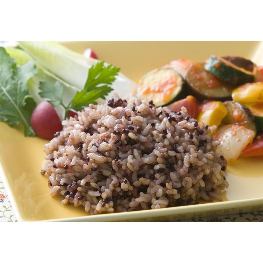 高品質の人気 パックご飯 雑穀 発芽玄米と黒米のごはん 160g 1袋 Cisama Sc Gov Br