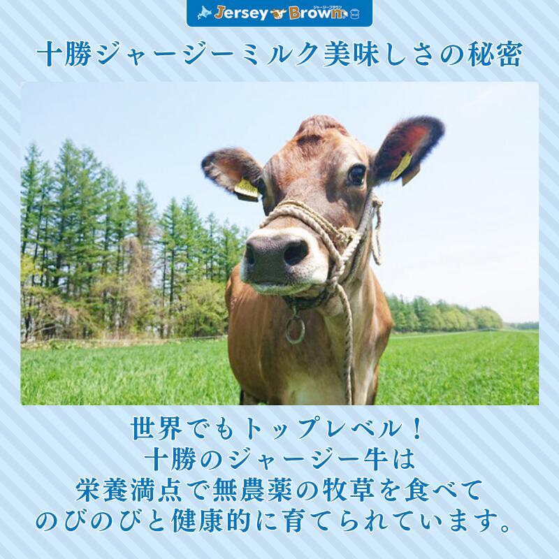 ジャージーブラウン アイスギフト 10個セット (フローズンヨーグルト