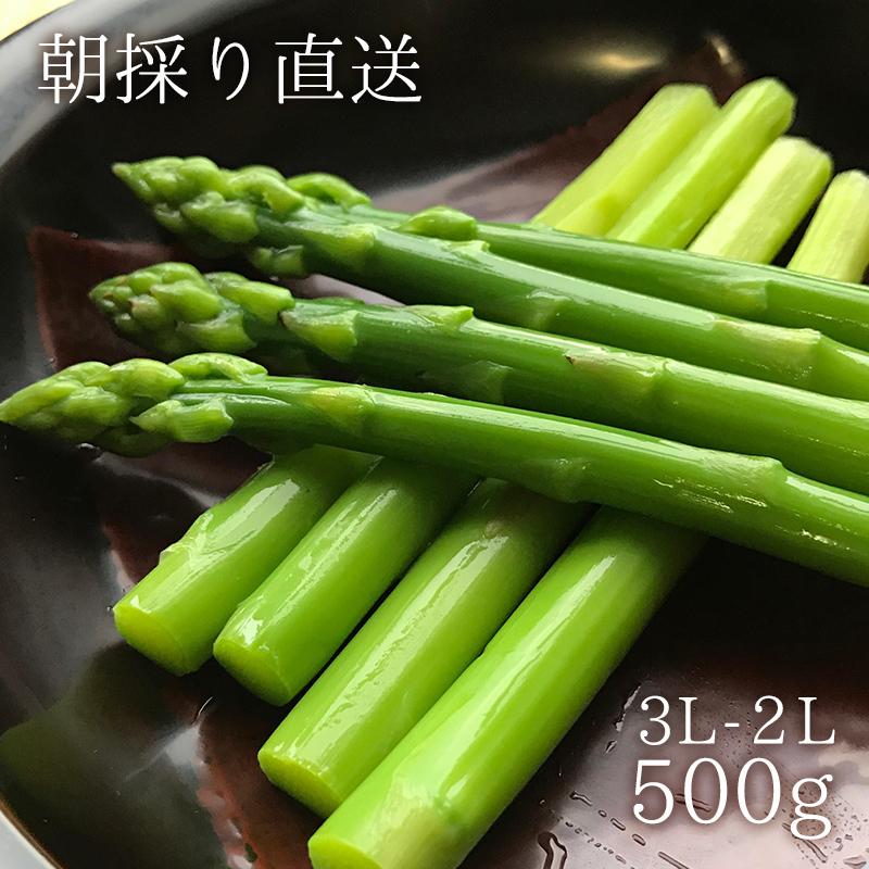 グリーンアスパラガス 3l 2lサイズ 500g 1パック 国産 産地直送 お取り寄せ 冬採り 旬 ハイマート 通販 Yahoo ショッピング