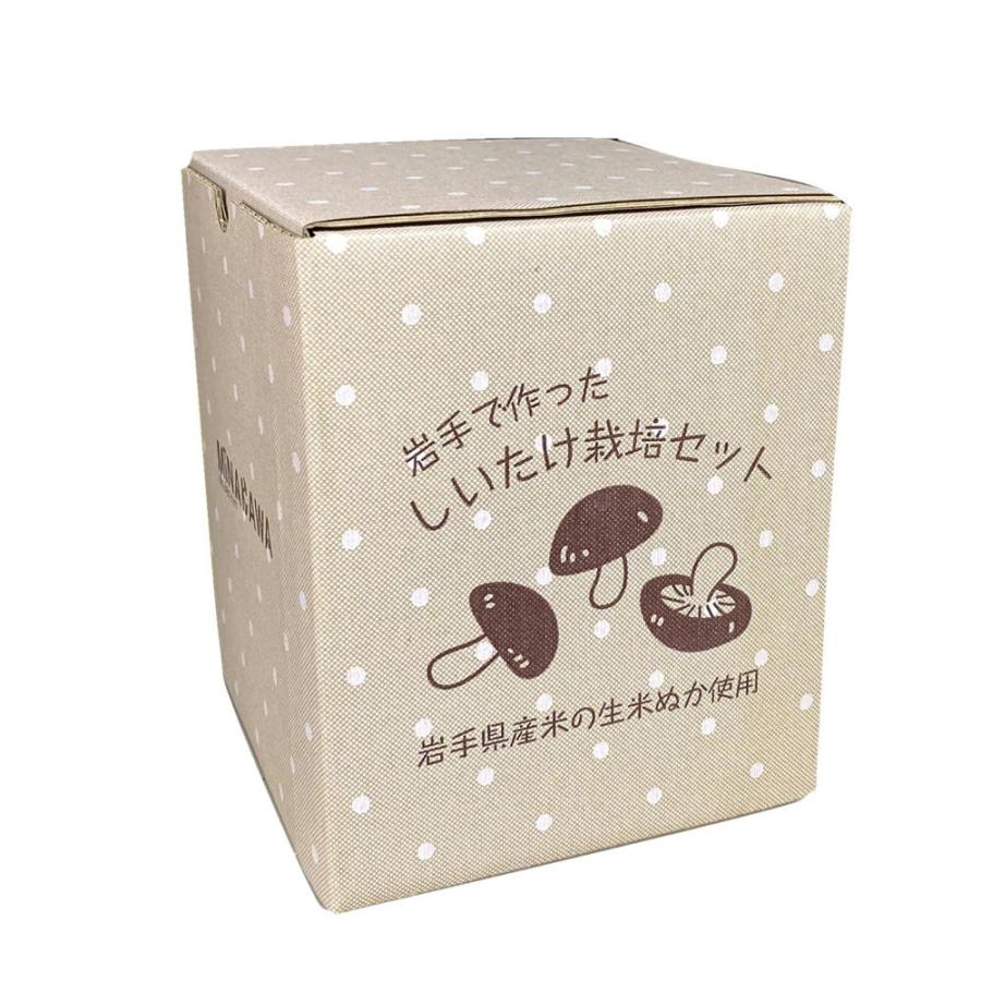 注目ブランドのギフト しいたけ栽培キット 2個セット 室内栽培 家庭菜園 自由研究 園芸 栽培セット 野菜 夏休み お部屋で簡単 キノコ狩り 旬の味覚をたっぷり収穫 Originaljustturkey Com