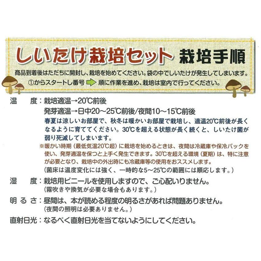 注目ブランドのギフト しいたけ栽培キット 2個セット 室内栽培 家庭菜園 自由研究 園芸 栽培セット 野菜 夏休み お部屋で簡単 キノコ狩り 旬の味覚をたっぷり収穫 Originaljustturkey Com