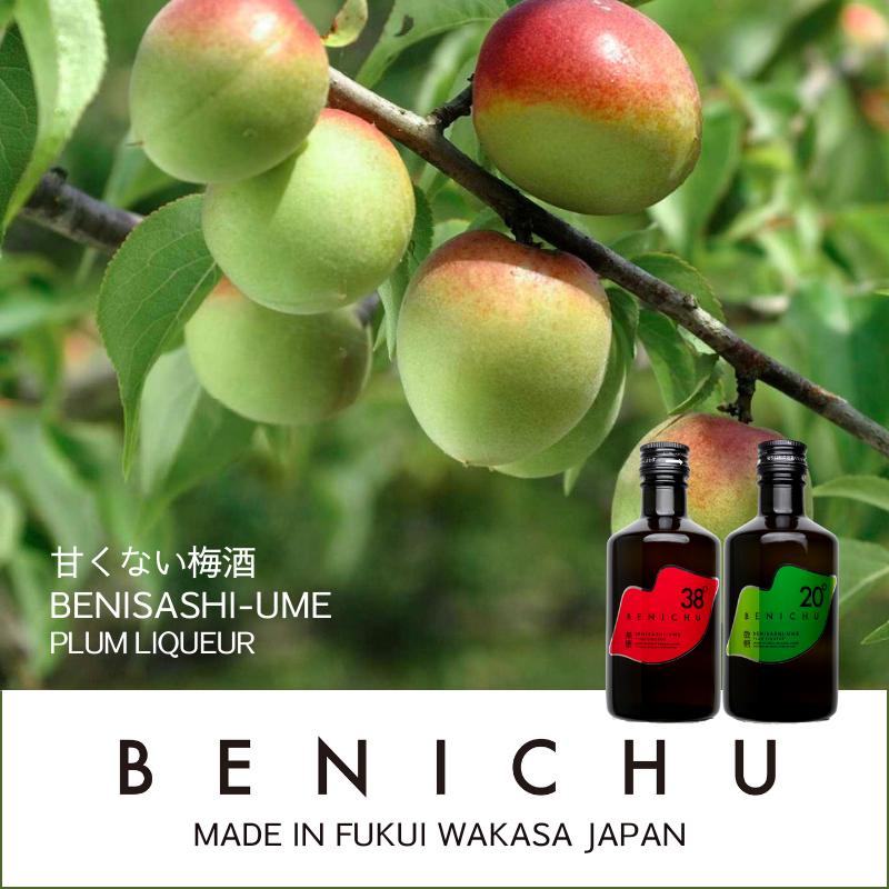 大人の甘くない梅酒 BENICHU 38° 微糖梅酒 750ml 化粧箱入り 送料無料 福井県若狭町より産地直送 若狭三方ビバレッジ エコファームみかた ギフト 熨斗対応 | ブランド登録なし | 01