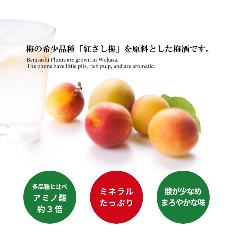 大人の甘くない梅酒 BENICHU 38° 微糖梅酒 750ml 化粧箱入り 送料無料 福井県若狭町より産地直送 若狭三方ビバレッジ エコファームみかた ギフト 熨斗対応 | ブランド登録なし | 02