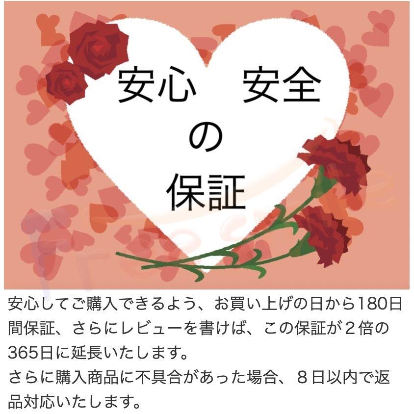 メソセラピーガン メソガン MTSメソガン マイクロニードルセラピーシステム（MTS） 