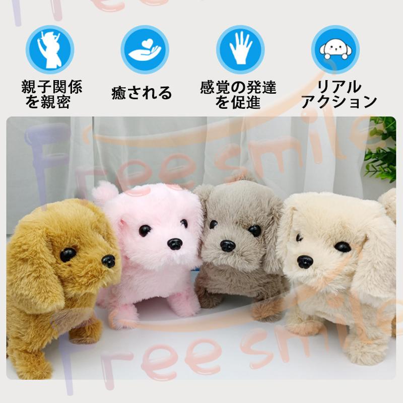 元気な仔犬 トイプードルのショコラちゃん おしゃべり 歩く 動く