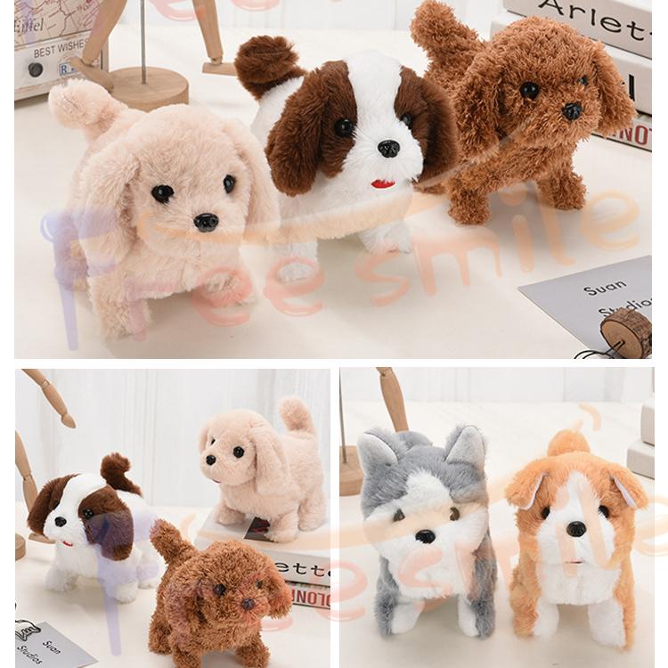 元気な仔犬 トイプードルのショコラちゃん おしゃべり 歩く 動く