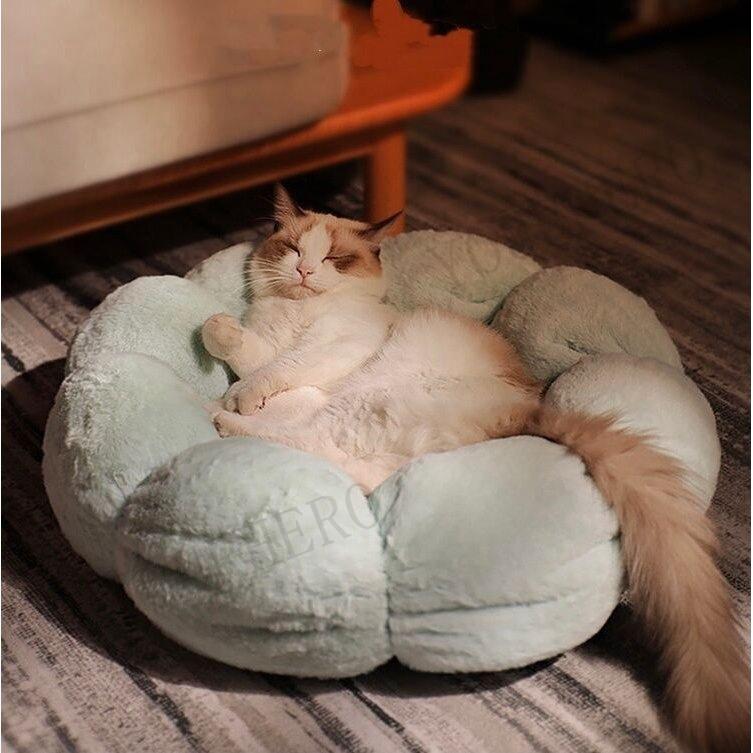 新品即決 ペットベッド 可愛い 通気性 おしゃれ 猫ハウス 噛み耐え 猫