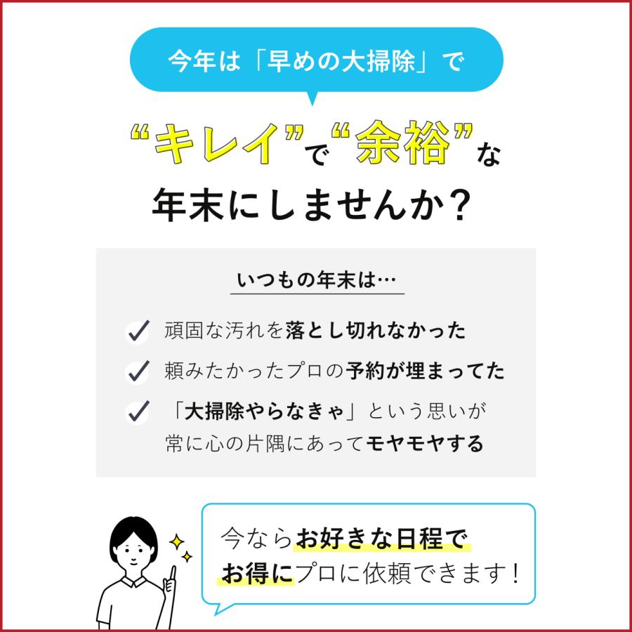 エアコンクリーニング プレミアム 壁掛型 1台 全国対応 ユアマイスター 