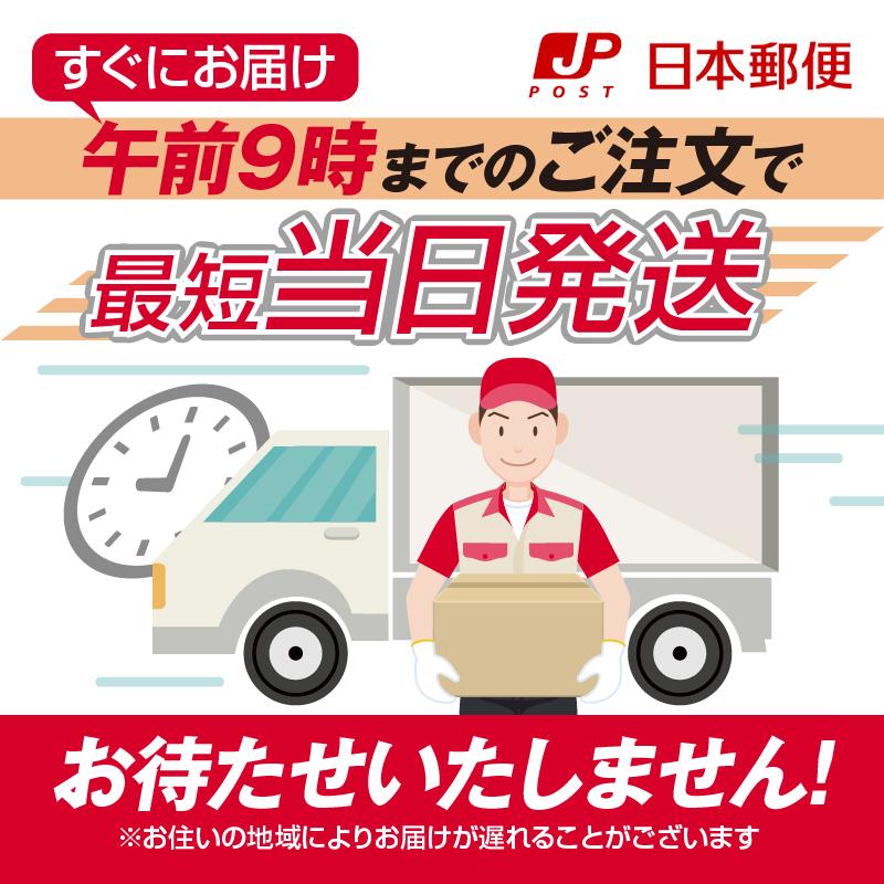 フィリップス ソニッケアー 替えブラシ 互換品 旧ダイヤモンドクリーン 4本 | ソニッケアー | 09