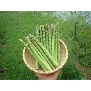 【北海道物産】【卸売市場】【北海道産】（有機栽培）グリーンアスパラ（2Lサイズ1kg）25本前後 |  | 01
