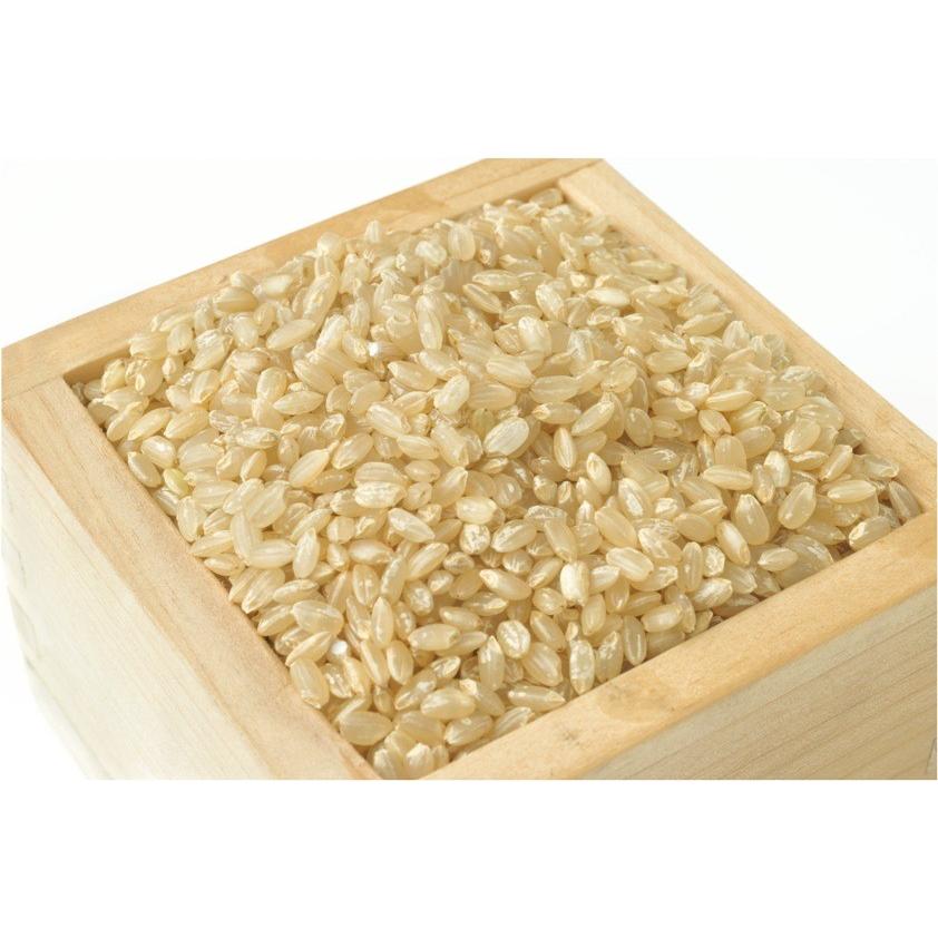 ゆめぴりか玄米10ｋｇ×2 令和7年度産　新米　北海道産　送料無料 | ゆめぴりか | 01