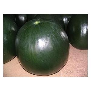 【北海道物産 北海道特産【札幌中央卸売市場 札幌中央卸売場内よりクール航空直送便】月形産ダイナマイトすいか【秀品】3L以上7kg以上：【北海道_フルーツ】 |  | 02