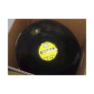 【北海道物産】【北海道特産【札幌中央卸売市場】【札幌中央卸売場内よりクール航空直送便】月形産おつきさますいか【秀品】2L以上7kg以上：【北海道_フルーツ】 |  | 02