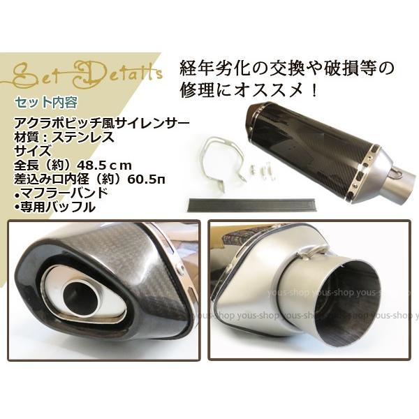 アクラポビッチ タイプ カーボン ロング サイレンサー Φ60.5π GS1200SS