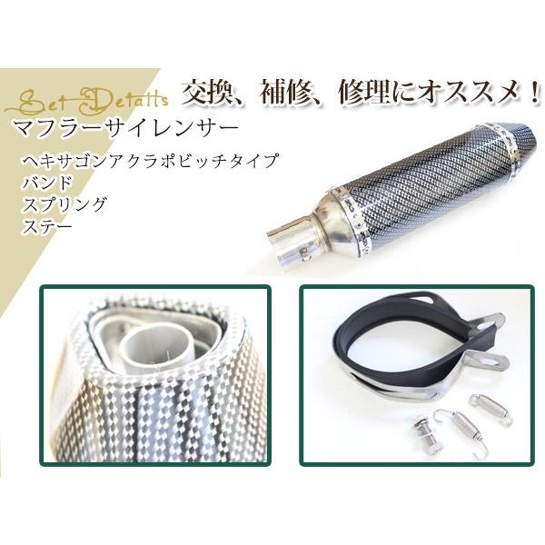アクラポビッチ タイプ フルカーボン サイレンサー マフラー φ50 アクラポビッチ タイプ フルカーボン サイレンサー マフラー φ50