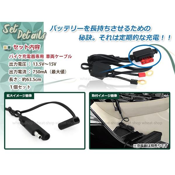 ブランドのギフト バイク バッテリー バイク充電器 チャージャー 専用 車両ケーブル2本セット バッテリー充電器対応 スーパーナット 星乃充電器 オプティメート4デュアル 対応 星乃充電器専用 ワニ口ケーブル