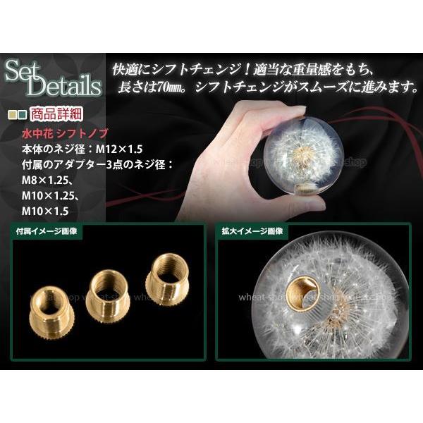 水中花 シフトノブ トラック 延長 変換 綿毛 植物 たんぽぽ タンポポ 