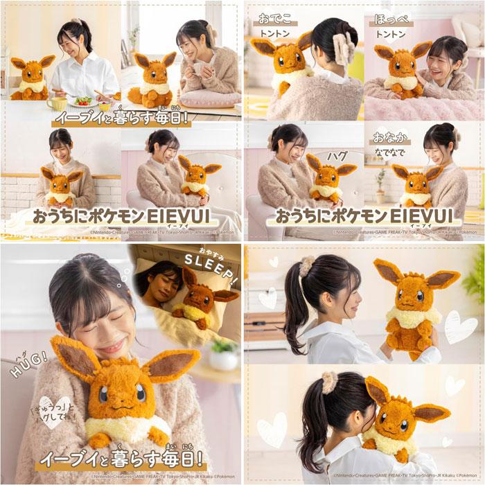 おまけ ぬりえブック 付 ポケットモンスター おうちにポケモン EIEVUI