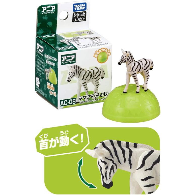 カスターニャ　 動物の置物セット 牛 シマウマ 馬 bezipang_wf-txg6448