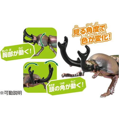 アニア AS-42 ニジイロクワガタ : ユウセイ堂2号店 ヤフーショッピング