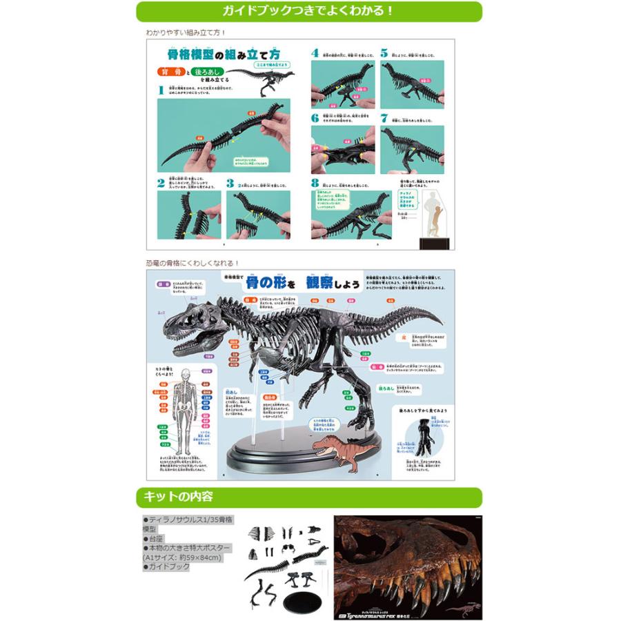 学研 ティラノサウルス1/35骨格模型キット & 本物の大きさ特大ポスター