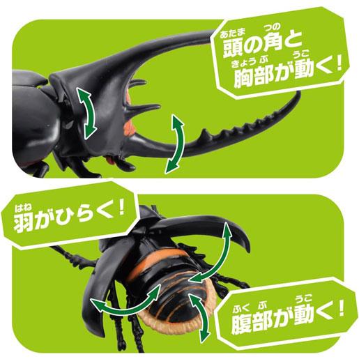 メール便送料無料 アニア AL-39 ネプチューンオオカブト : ユウセイ堂1