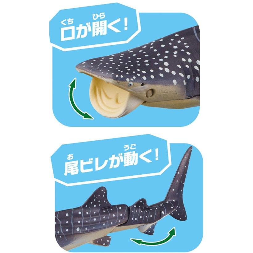 アニア　ジンベエザメ アニア】アニアの水に浮くVer.のジンベエザメを紹介するよ