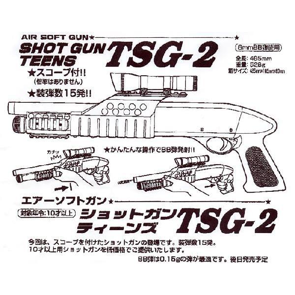 クラウンモデル エアーショットガン ティーンズ TSG-2 対象年齢10歳以上 スコープ付き エアガン｜yousay-do｜02