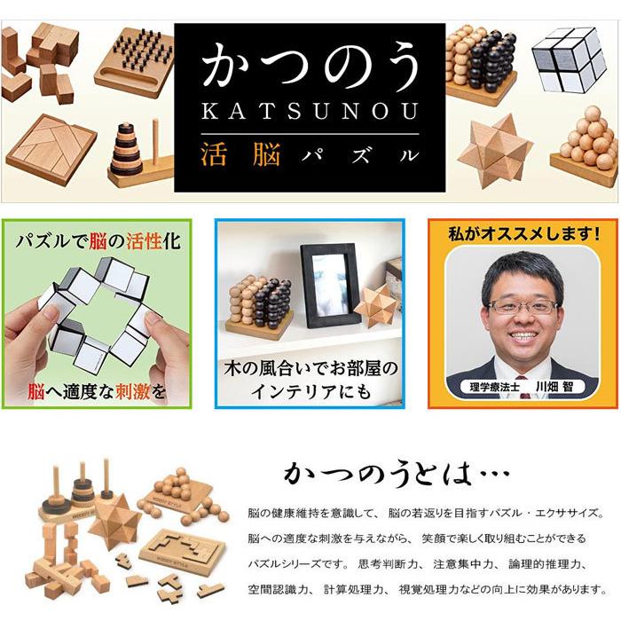 送料無料 かつのう スライドメイズ 活脳パズル 4977513068352|ユウセイ堂 PayPayモール店|02