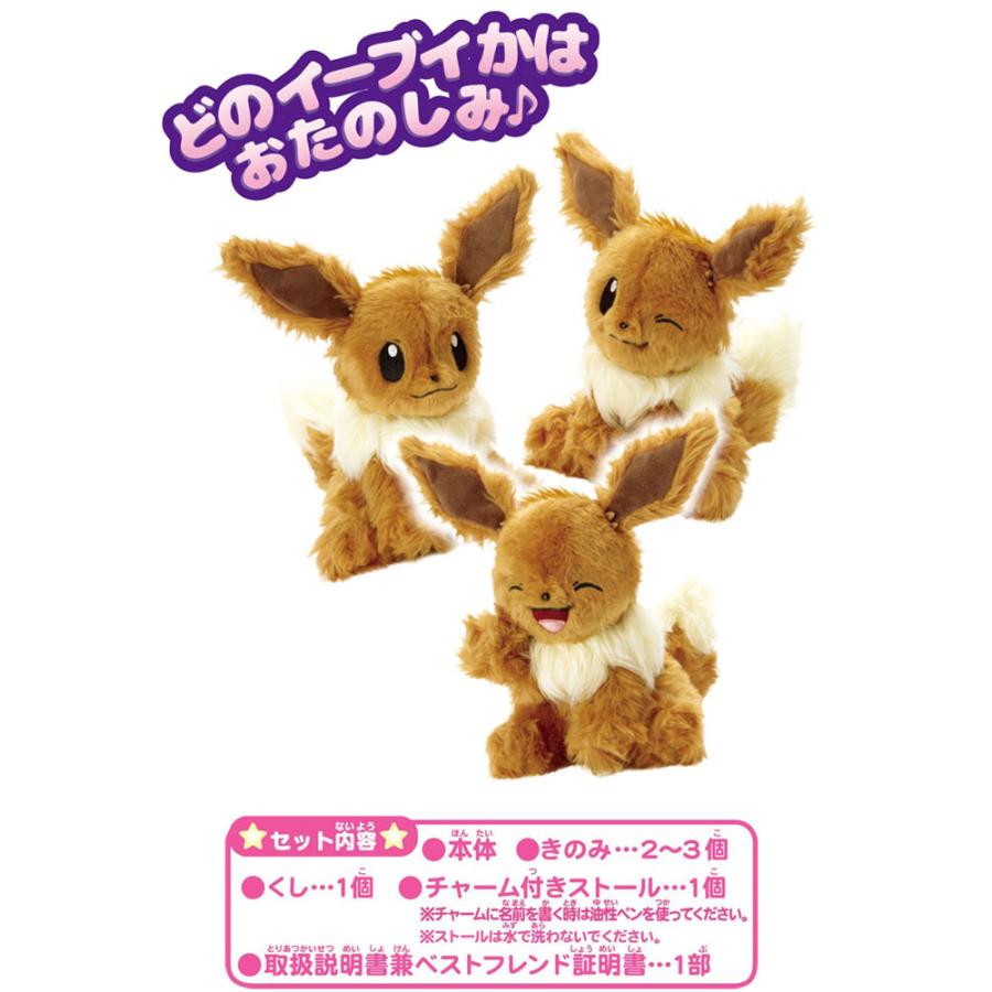 【GW値下・中古】ポケットモンスター スーパーDXイーブイ&ヌマクローぬいぐるみ 送料無料 WHO are YOU? フーアーユー ポケモン イーブイ ぬいぐるみ