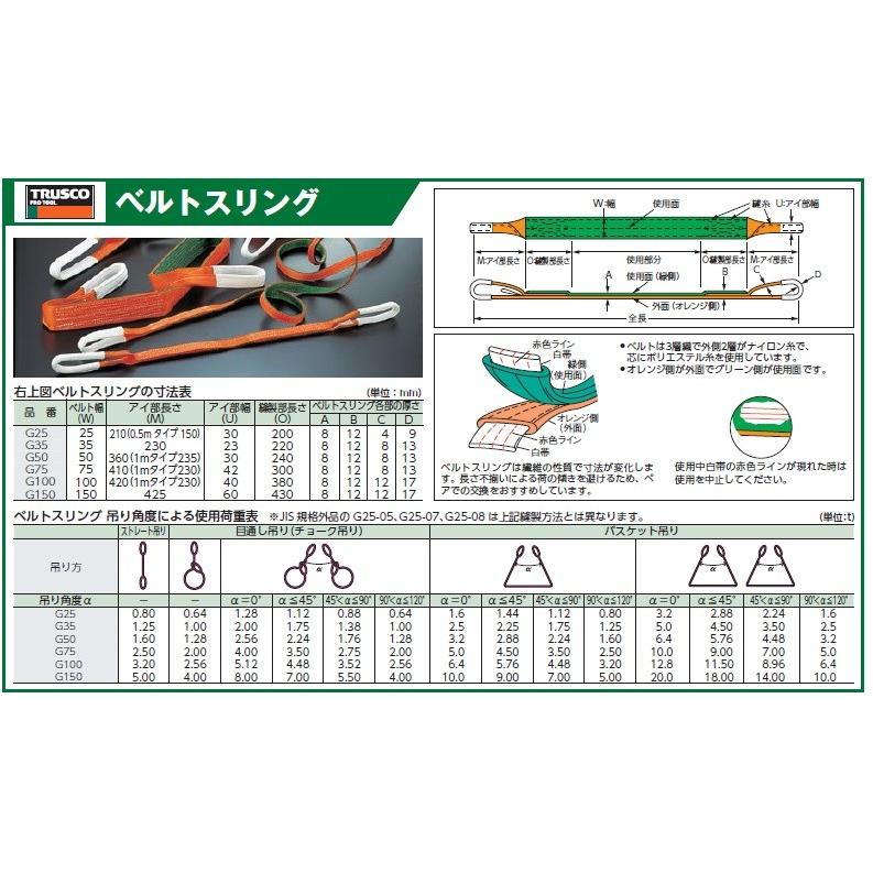 玉掛け ナイロンスリング ベルト幅100mm トラスコ(TRUSCO) ベルトスリング(JIS3等級・両端アイ形) G100-50（5.0M
