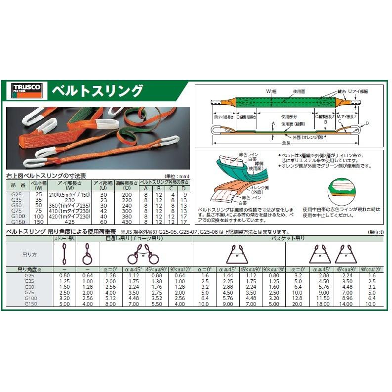 TRUSCO ベルトスリング JIS3等級 両端アイ形 100mm×6.0m G100-60