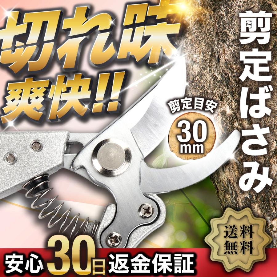 剪定 ばさみ 強力 枝きり はさみ ハサミ 庭 木 ガーデニング ガーデン 盆栽 園芸 枝切り 枝 切り 鋏 家庭菜園 サポーター（Yahoo!・youshopサポーター）