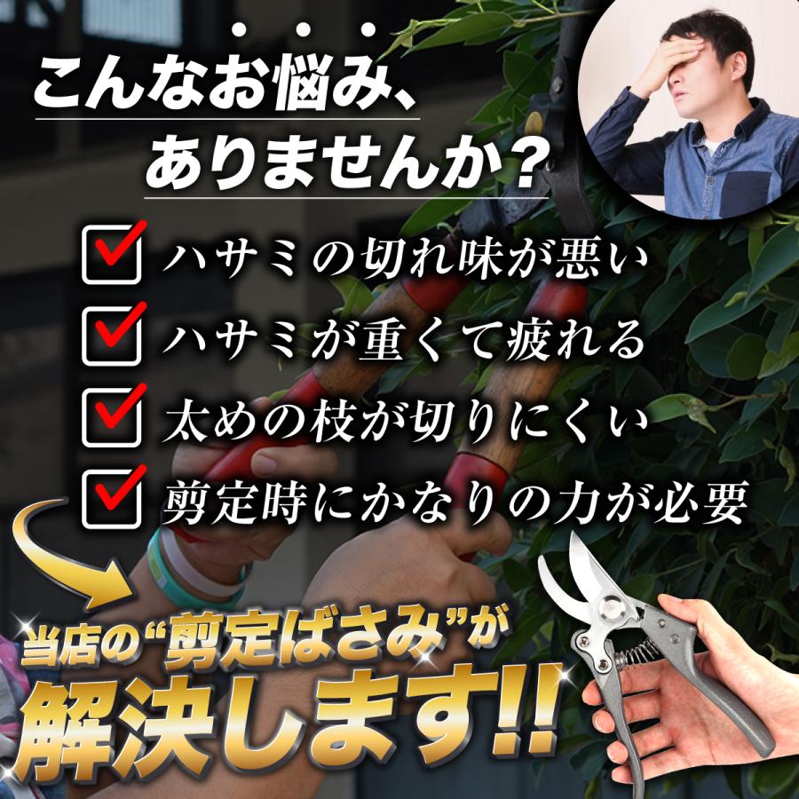 剪定 ばさみ 強力 枝きり はさみ ハサミ 庭 木 ガーデニング ガーデン 盆栽 園芸 枝切り 枝 切り 鋏 家庭菜園 サポーター｜youshoposaka｜02