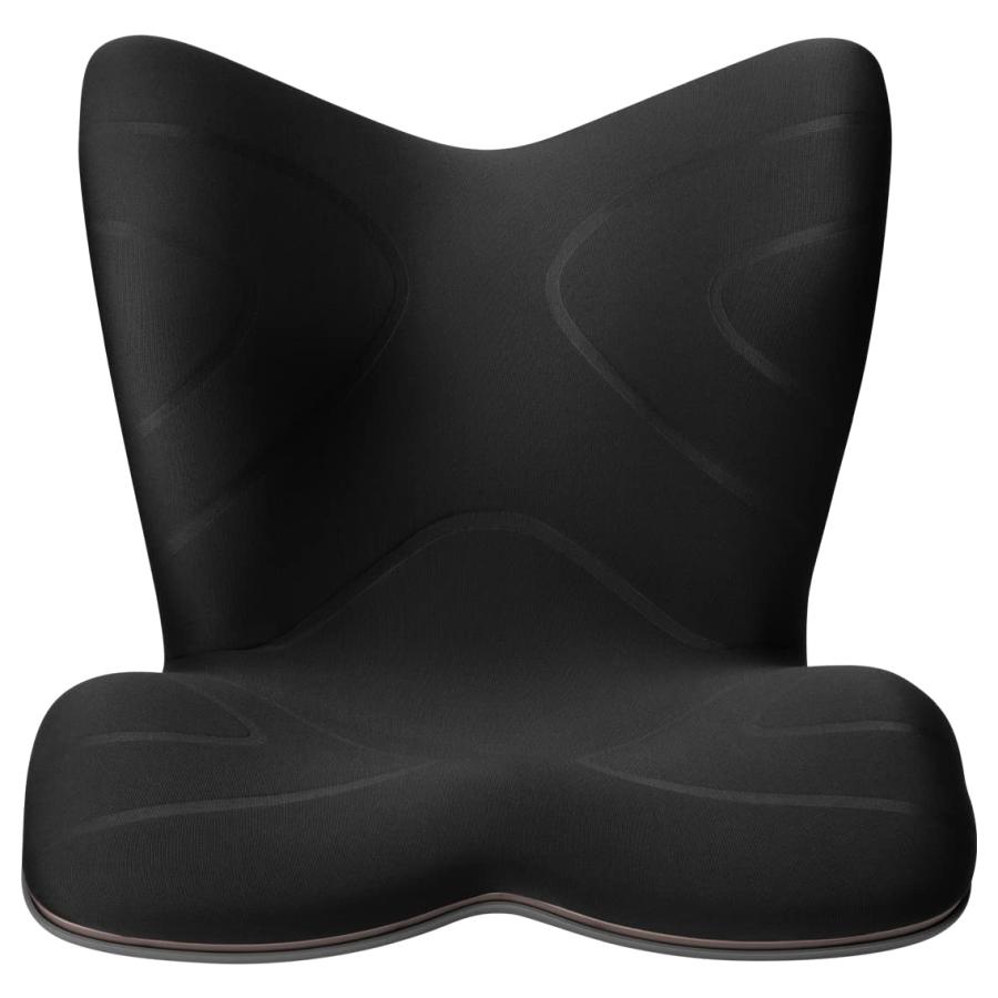 MTG エムティージー 姿勢矯正 骨盤サポートチェア 座椅子 (イス置き) 5個