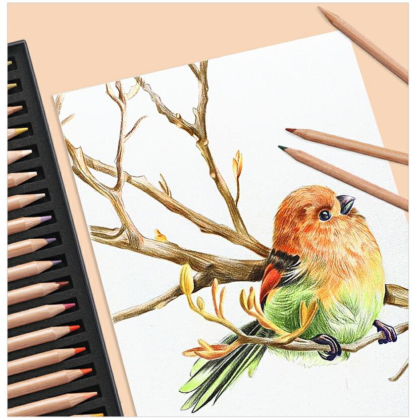 ルミナンス6901 カランダッシュ CARAN D'ACHE 油性色鉛筆