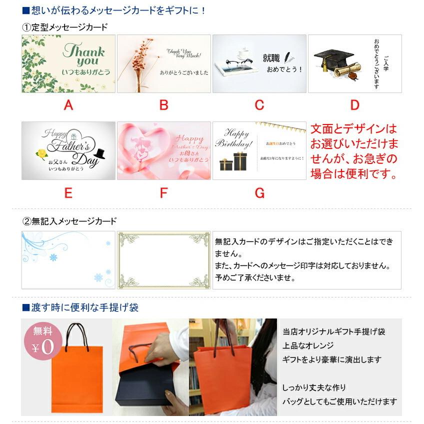 カランダッシュ CARAN D'ACHE ペンケース レマン オートマロキネリー ペンケース カーフスキン 2本挿し Leman Maroquinerie 6202 ギフト プレゼント｜youstyle-pen｜16