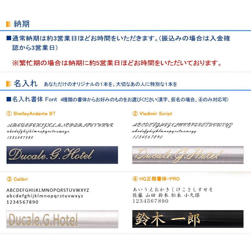 高い素材 素彫りのみシステム手帳 ダ ヴィンチ Davinci グランデ システム手帳 ロロマクラシック 艶味 聖書サイズ リング15mm Db3011 期間限定特価 Technet 21 Org