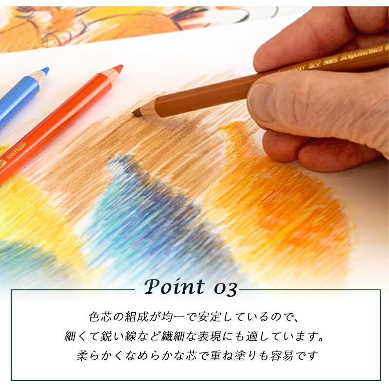 ファーバーカステル Faber-Castell 12色 油性色鉛筆 ポリクロモス POLYCHROMOS 緑缶 110012 贈り物 子供から大人の塗り絵 お絵かき デッサン アナログ 新入学 | ポリクロモス | 06