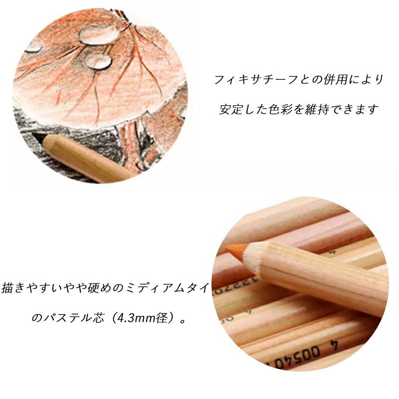 ファーバーカステル Faber-Castell 油性24色鉛筆 ピット PITT パステル