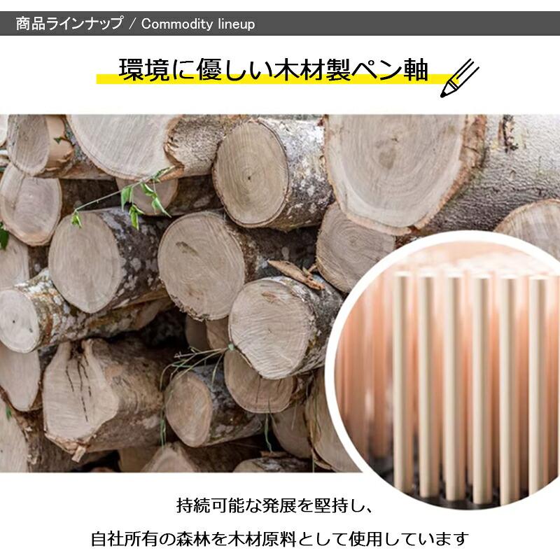 ファーバーカステル Faber-Castell 油性60色鉛筆 ピット PITT パステル