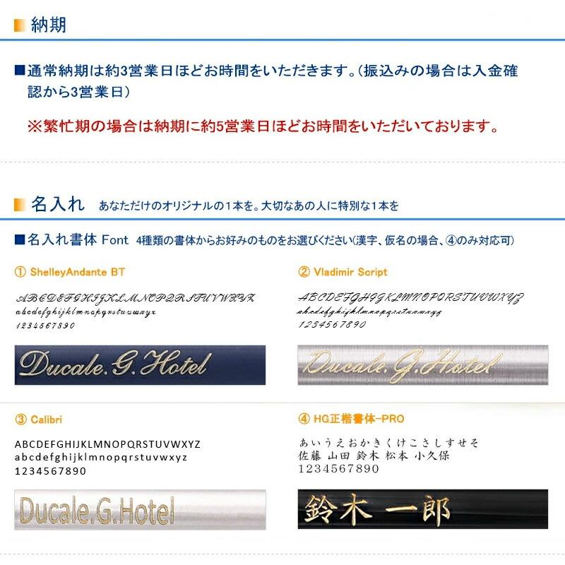 LAMY（ラミー） 名入れ 万年筆 ダイアログ3 DIALOG3 14K EF/F/M/B 全4