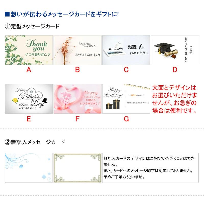 プラチナ万年筆 プラチナ PLATINUM 万年筆 ＃3776 センチュリー忍野