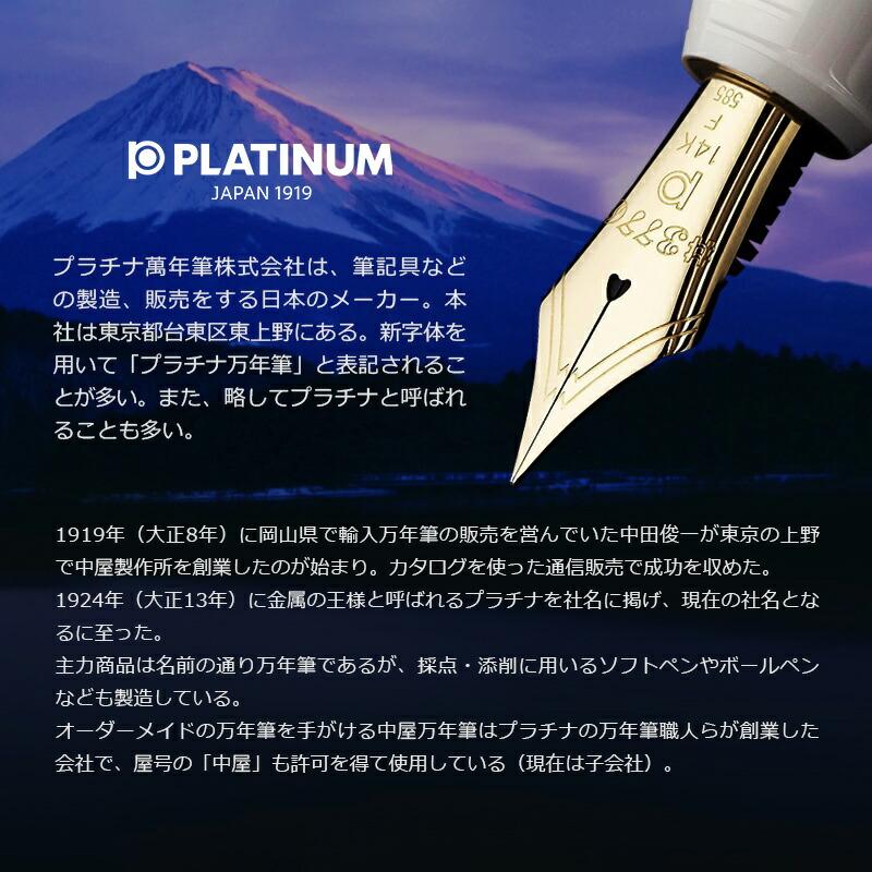 プラチナ万年筆 PLATINUM ＃3776 センチュリー忍野 PNB-20000A-5/ニース ロゼ PNB-20000R-5 大型14金 F細字/M中字/B太字 透明軸 高級の画像